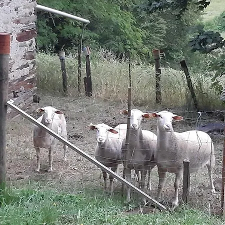 Rossignol Hébergement de vacances Le Bez (Tarn)