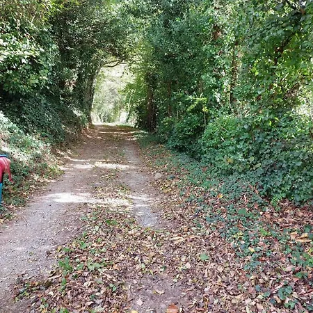 Rossignol * Le Bez (Tarn)